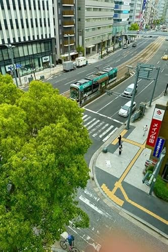 �y���{�̕��i�|�X�g�J�[�h�z�L���s�L���O�z���猩��L�d�{���̃n�K�L�͂���photo by MIRO