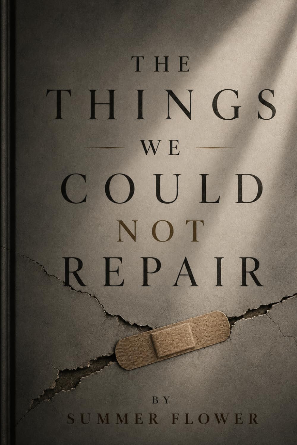 The Things We Could Not Repair: A Novel