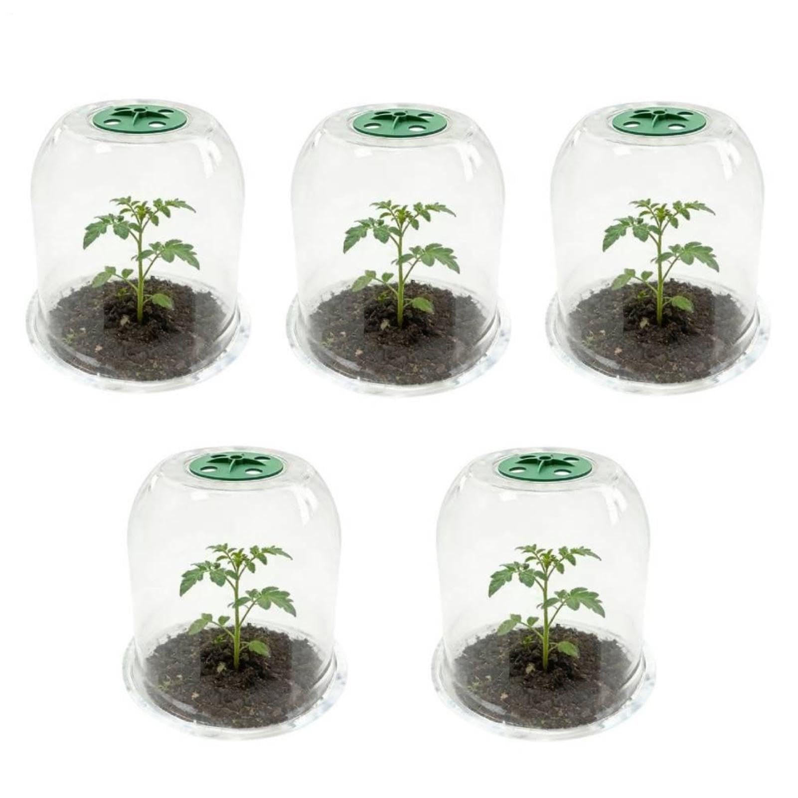 Beiykhera 10PCS Garden Plant Cloches, Plant Dome Bell Cover, Transparent Humidity Dome Covers For Outdoor, Reusable Garden Cloche For Growing Vegetables Protection Frost And Protection