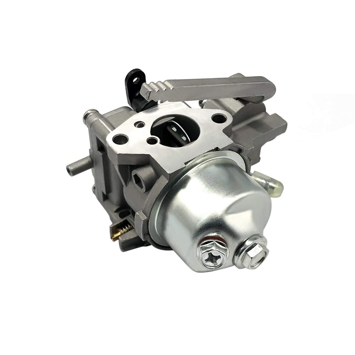 Gruppo di carburatore per motori fuoribordo 16100-ZW6-716 per Honda 4 tempi 2 HP BF2 BF33B E