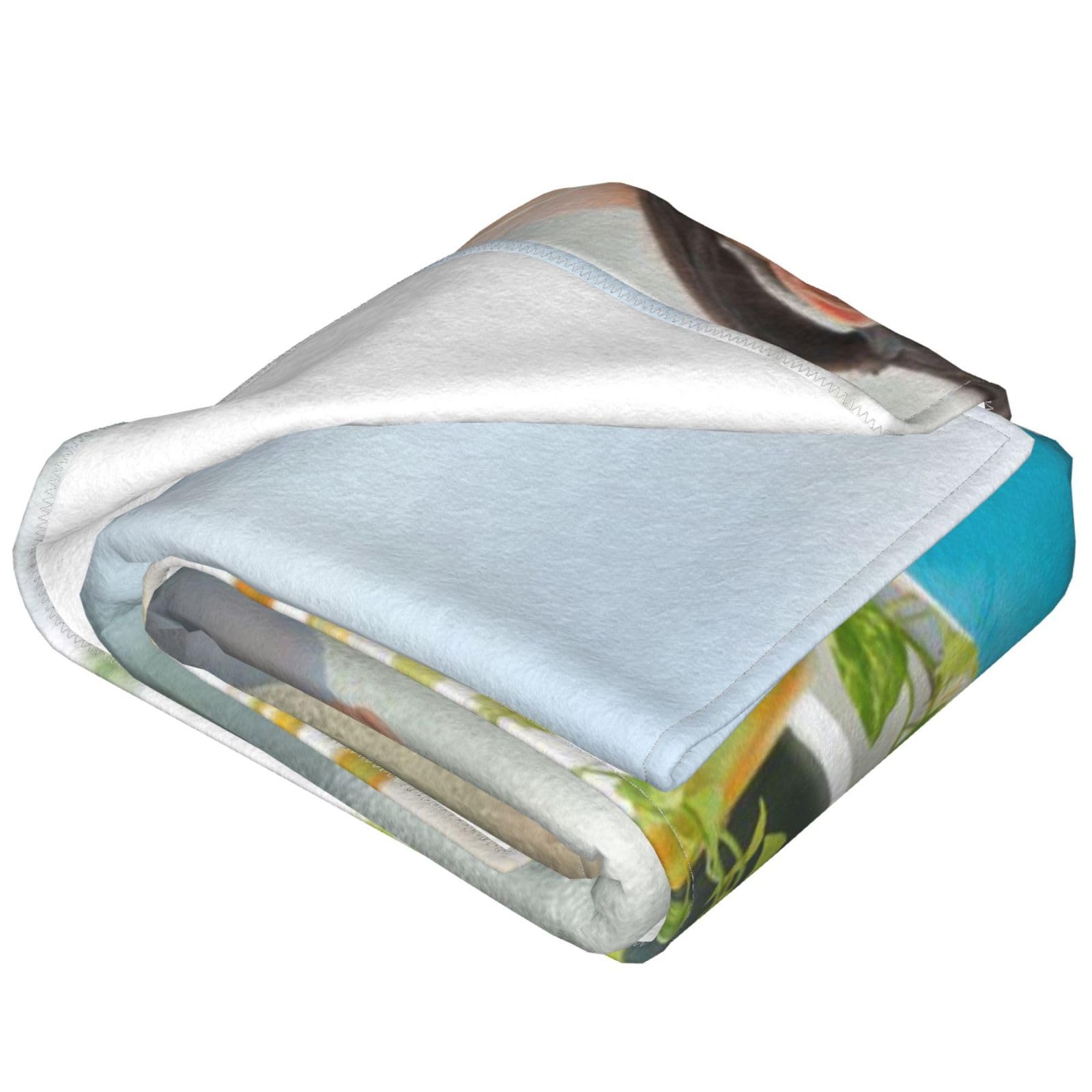 黒宮れい　股間 