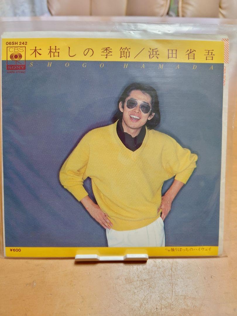 Amazon.co.jp: 浜田省吾 EP 8枚 : Toys & Games 