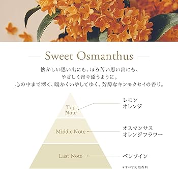 花摘む娘 フローラ　Flora　４冊セット 花摘む娘 フローラ Flora 4冊セット 花摘む娘 フローラ Flora 4