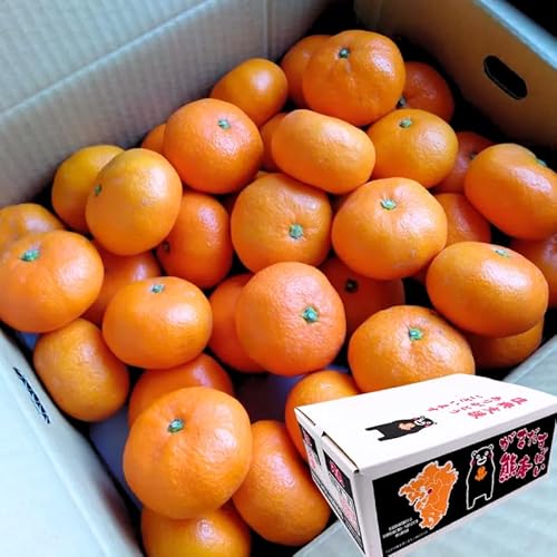 yF{ C̉w ݂z܃ł͂ 5L  MtgɍœK M`LTCY ͓Y ݂ ~J F{݂   Ӑ B (5.0L)