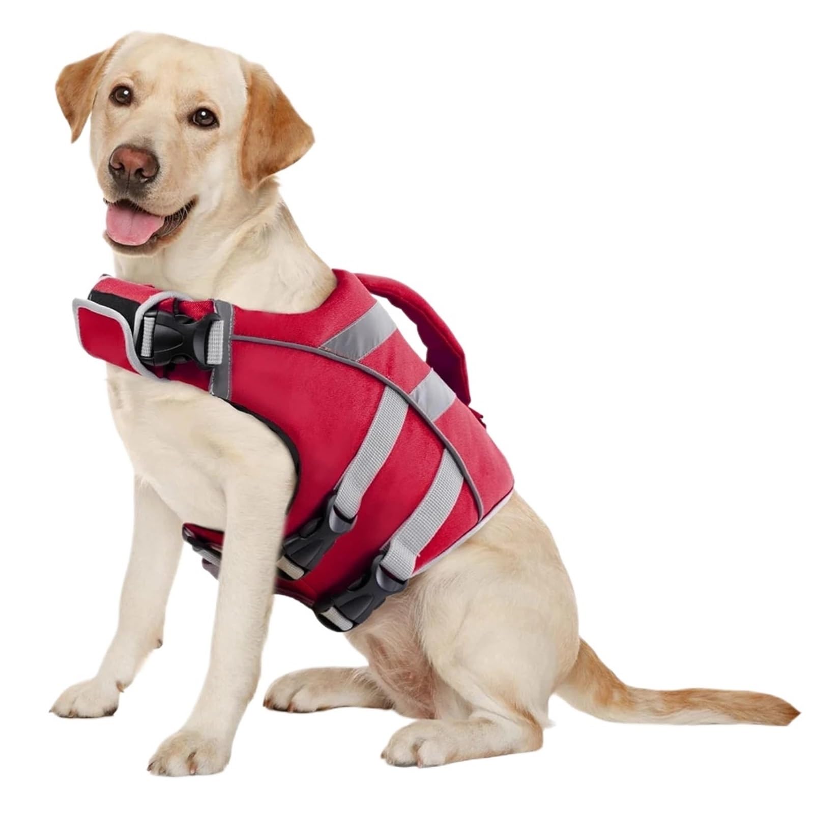 Gilet de sauvetage de chien rouge pour des baignades sécurisées en mer