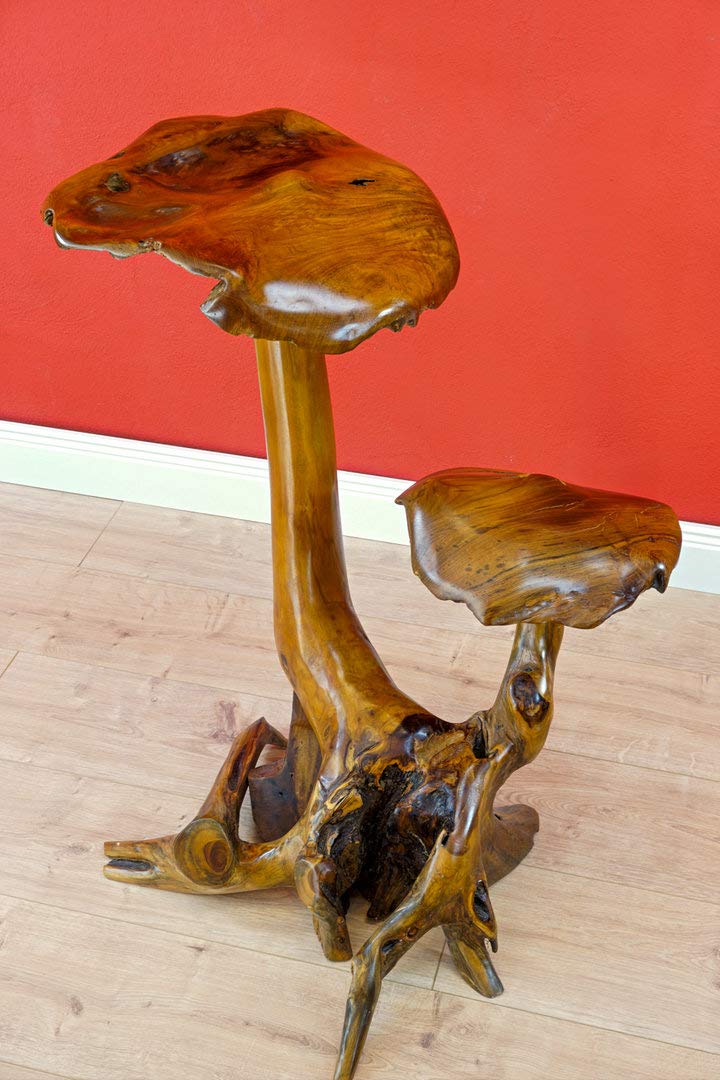 Kinaree 2er Wurzelholz Skulptur Pilz aus Teakholz ca. 45-55 cm – Handgefertigte Holz Skulptur als Garten- & Wohndeko – Massivholz Unikat aus Indonesien