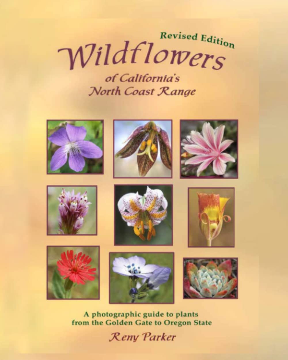Wildflowers of California's North Coast Range      Paperback – December 8, 2022