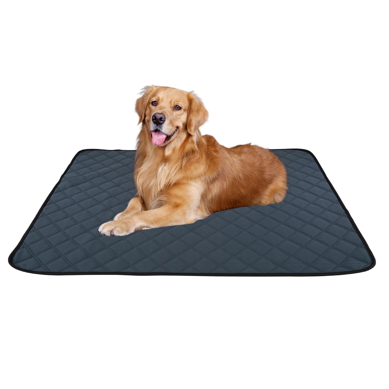 FANSU Impression en Couleur Unie Tapis Absorbant Chien, Tapis Éducateur pour Chien Lavable Réutilisable, Antidérapants Alèse Tapis Chien Pipi, Tapis propreté pour Animaux (183x183cm,Gris)