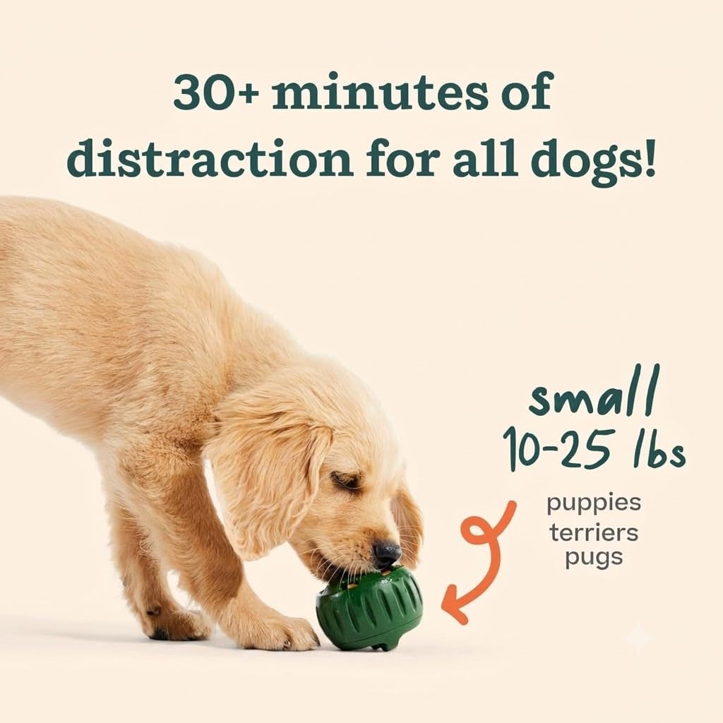 WOOF Starter Pack – Moule à friandises et Recharge de pupsicle – Boule de friandises à remplir pour Chien, moules en Silicone pour friandises pour Chiens et friandises pré-fabriquées – pour Petits