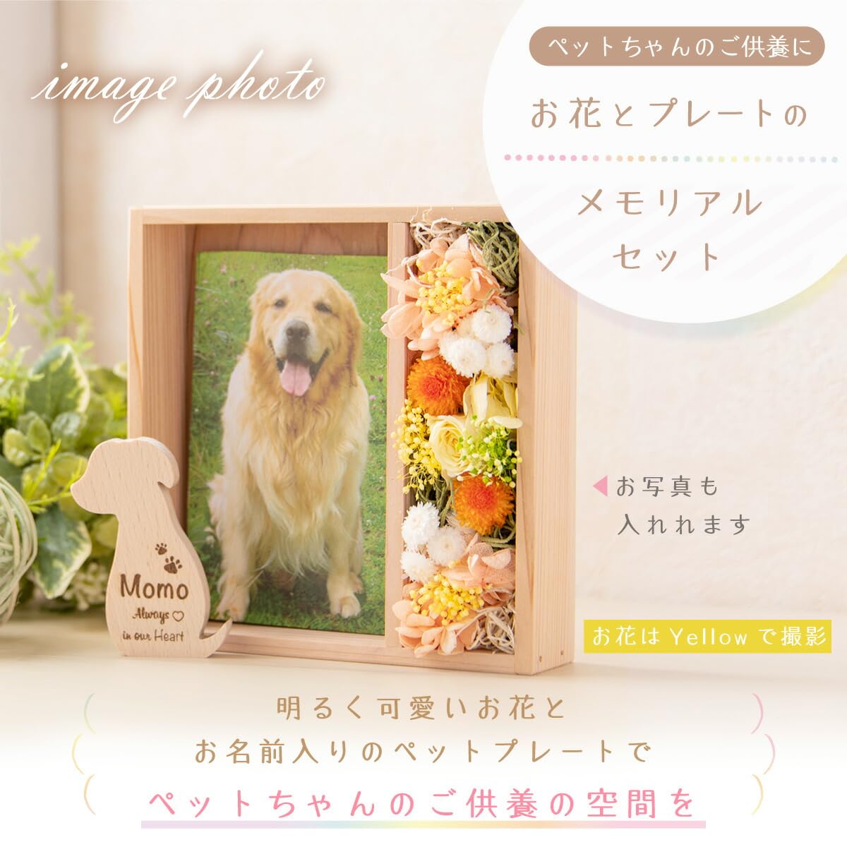 Amazon | ○【終了】FUN fun ペット メモリアル お供え 花