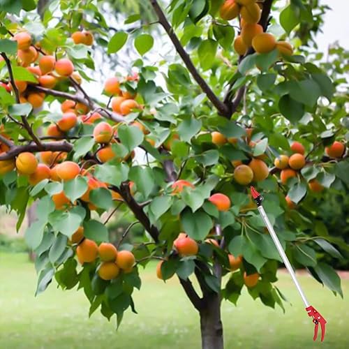 Miniatura 3 de Anbt Tijeras de podar de largo alcance, podadora de árbol de jardín, corte y sujeción de podadora de derivación de jardín de 12 pulgada (3.5 pies)
