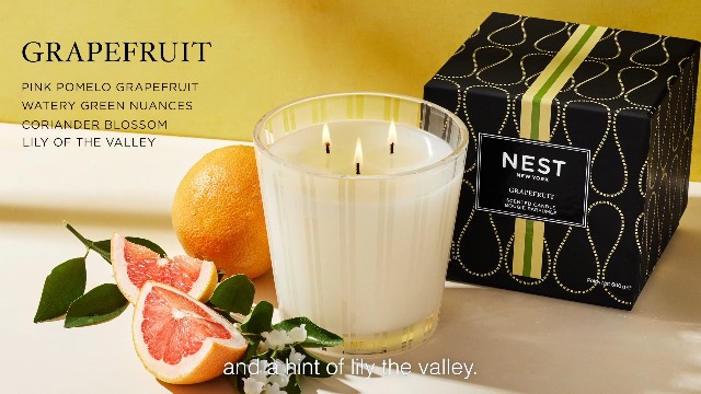 Amazon.com: NEST New York Scented 3-Wick Candle, Grapefruit - 21.2
