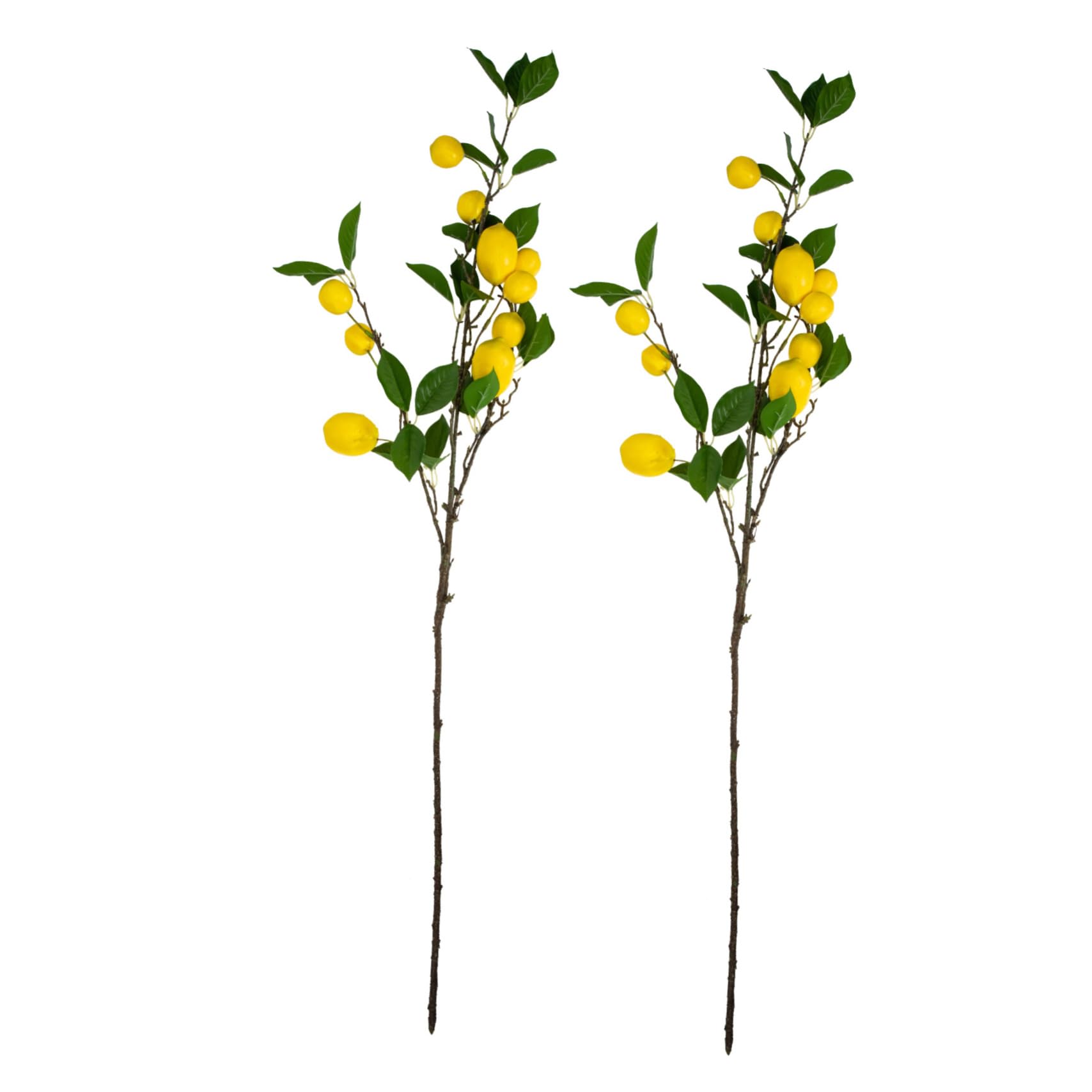 Branches de citron artificielles simulation réaliste haut de gamme