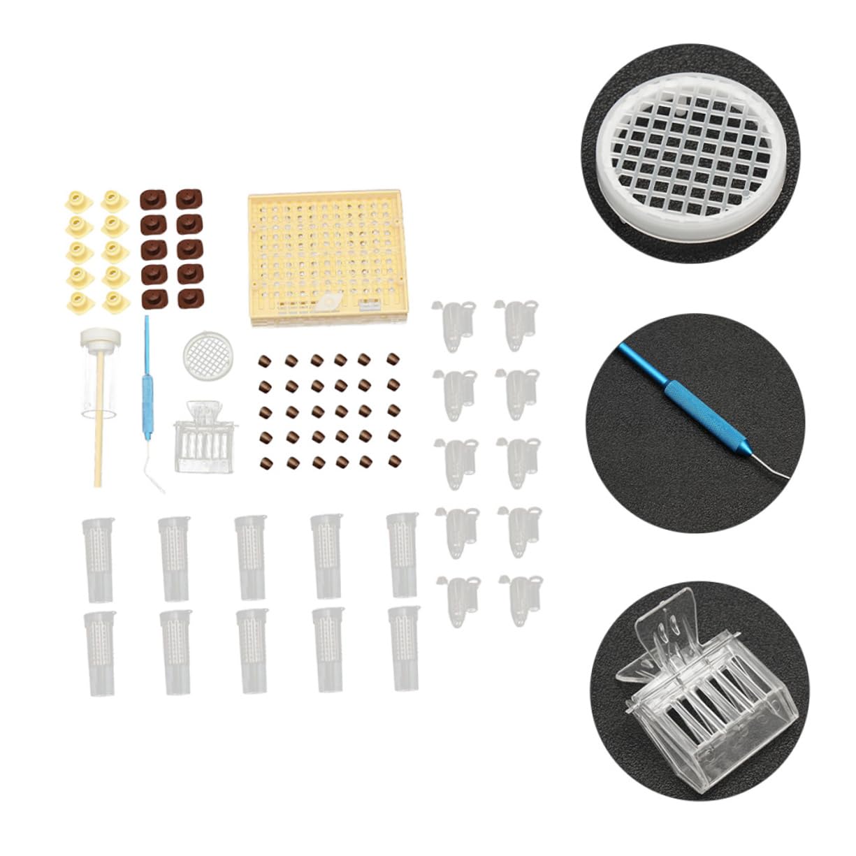 Milisten Caja De Cría Queen De Plástico Kit De Copas Para Celdas De Abejas Herramientas De Apicultura