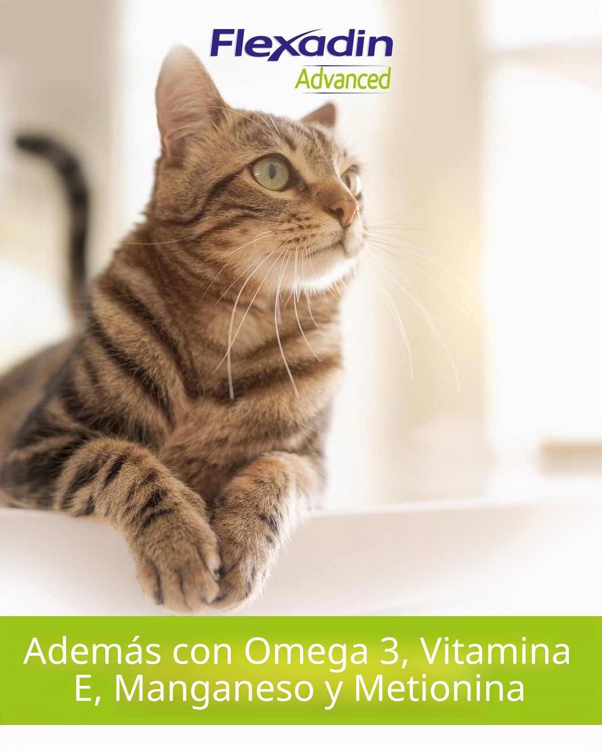 FLEXADIN ADVANCED® Gato |Enfoque innovador para la salud articular | Colágeno sin desnaturalizar tipo II – 60 golosinas articulares