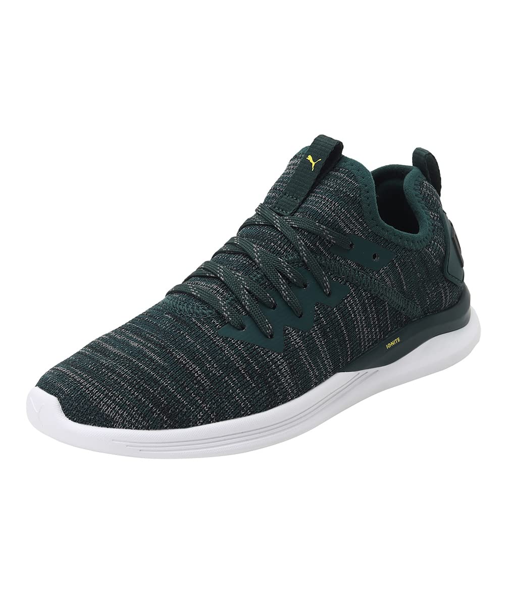 Puma Unisex-Child Ignite Flash Evoknit PS Ponderosa Pine-Blazing Yellow Sneaker - 11 UK (19150210) (B07DBYQKSX) Amazon Price History, Amazon Price Tracker