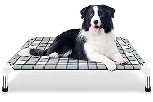 Elevated Dog Bed: Ultimate Comfort and Support for Your Furry Friend