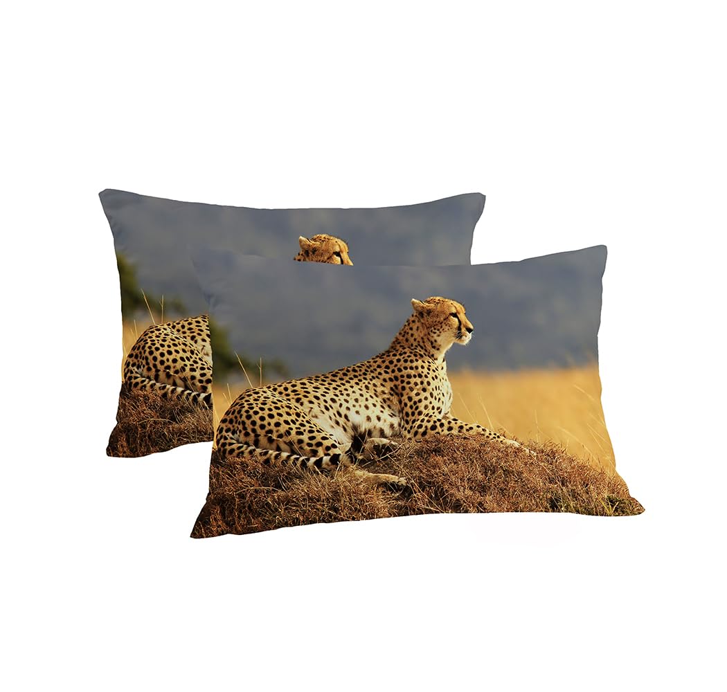 Housse de Couette 220x240cm - Earth Parure de lit en microfibre douce