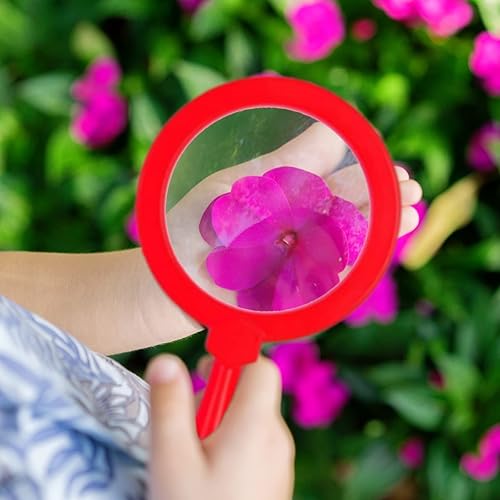 Miniatura 7 de Lupa de mano para niños con soporte, lupa de lectura, juego de exploración, lupa de lectura, juguete para niños de 3 años en adelante, lupa de