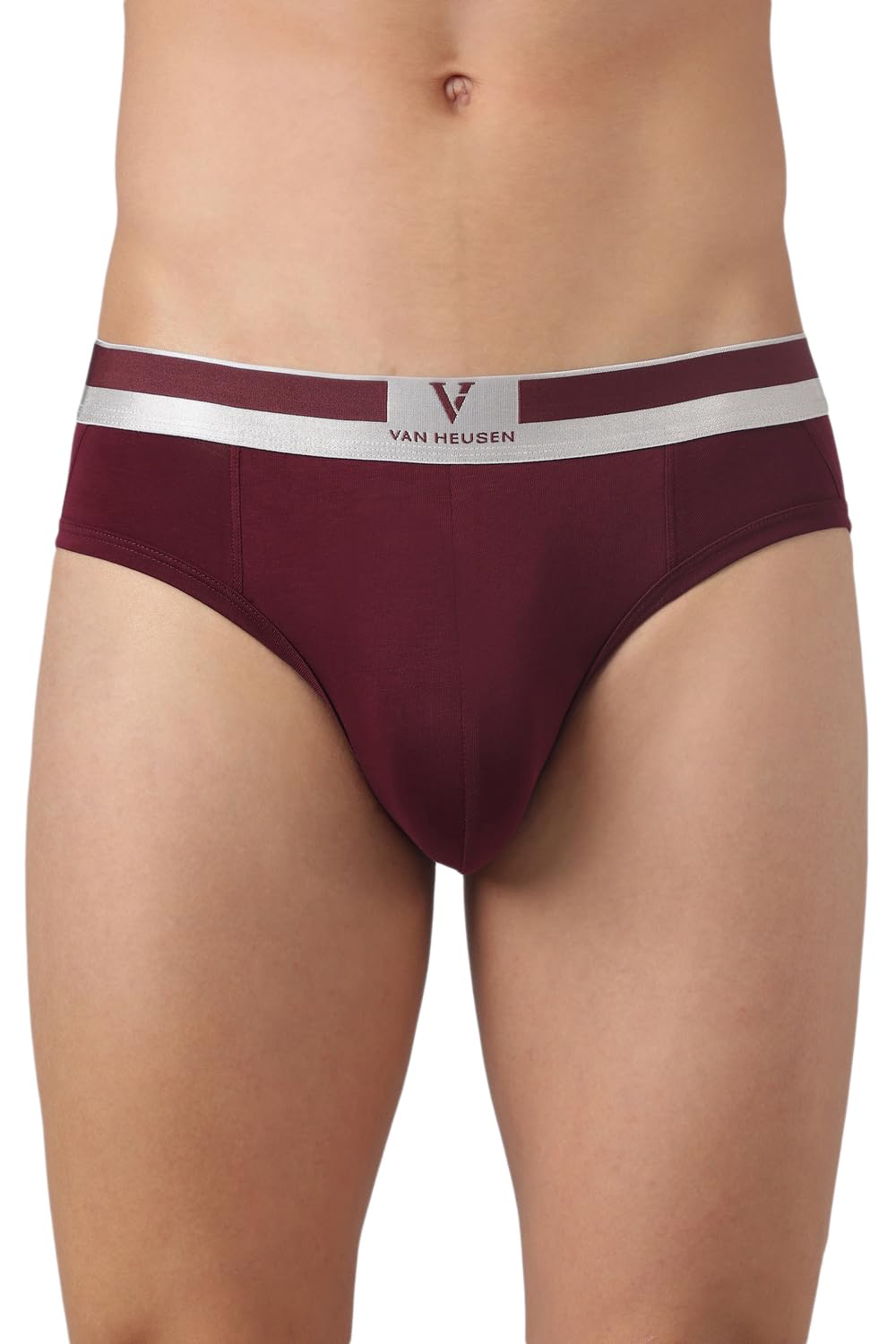 van heusen Men Briefs-picture-30