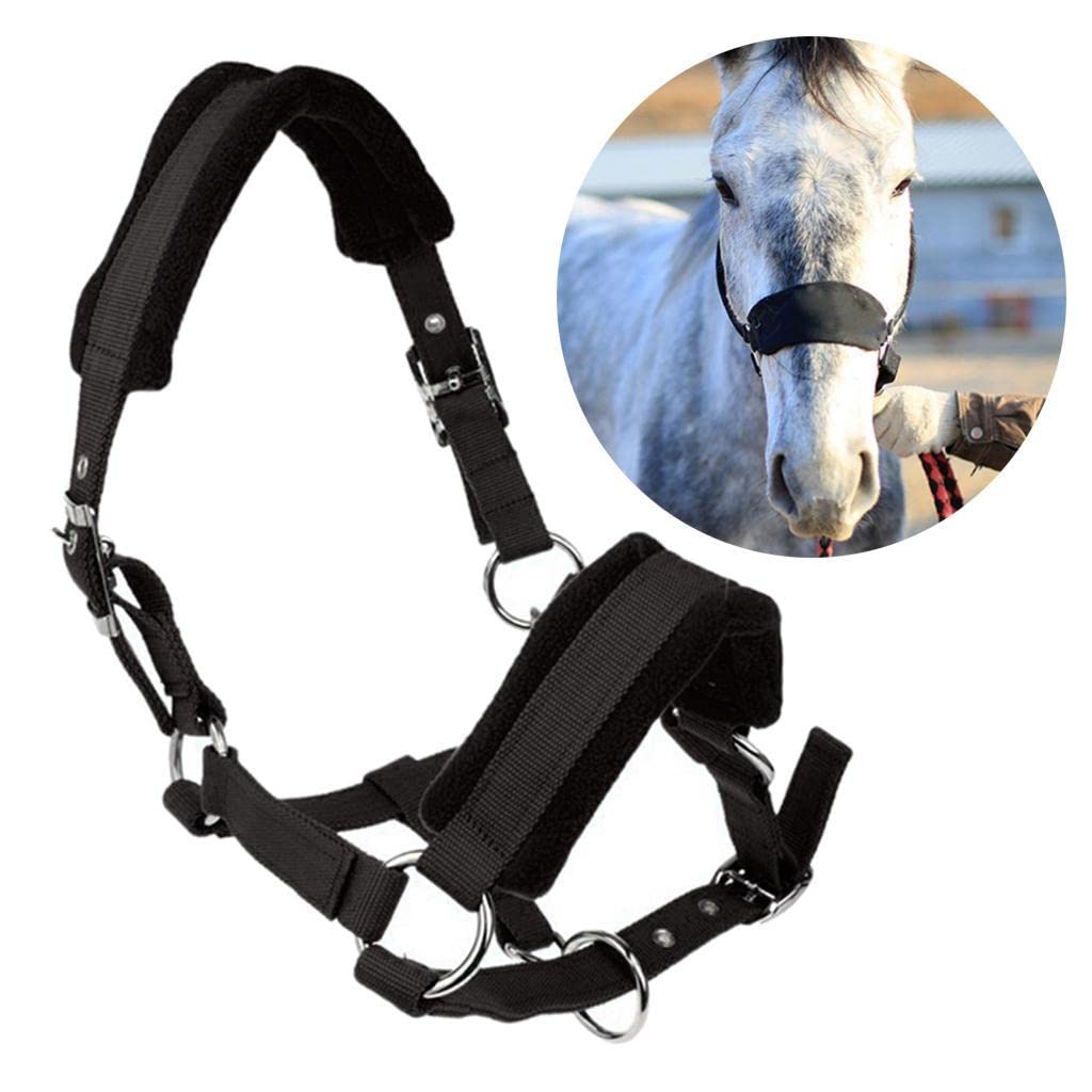 Qianly Cabezada de Gruesa para Caballo COB