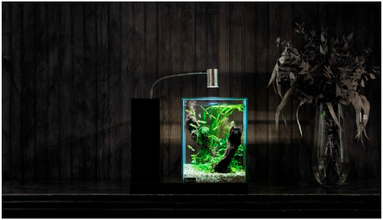 Amazon | GEX(ジェックス) 水槽 AQUA-U Black | GEX | 水槽 通販