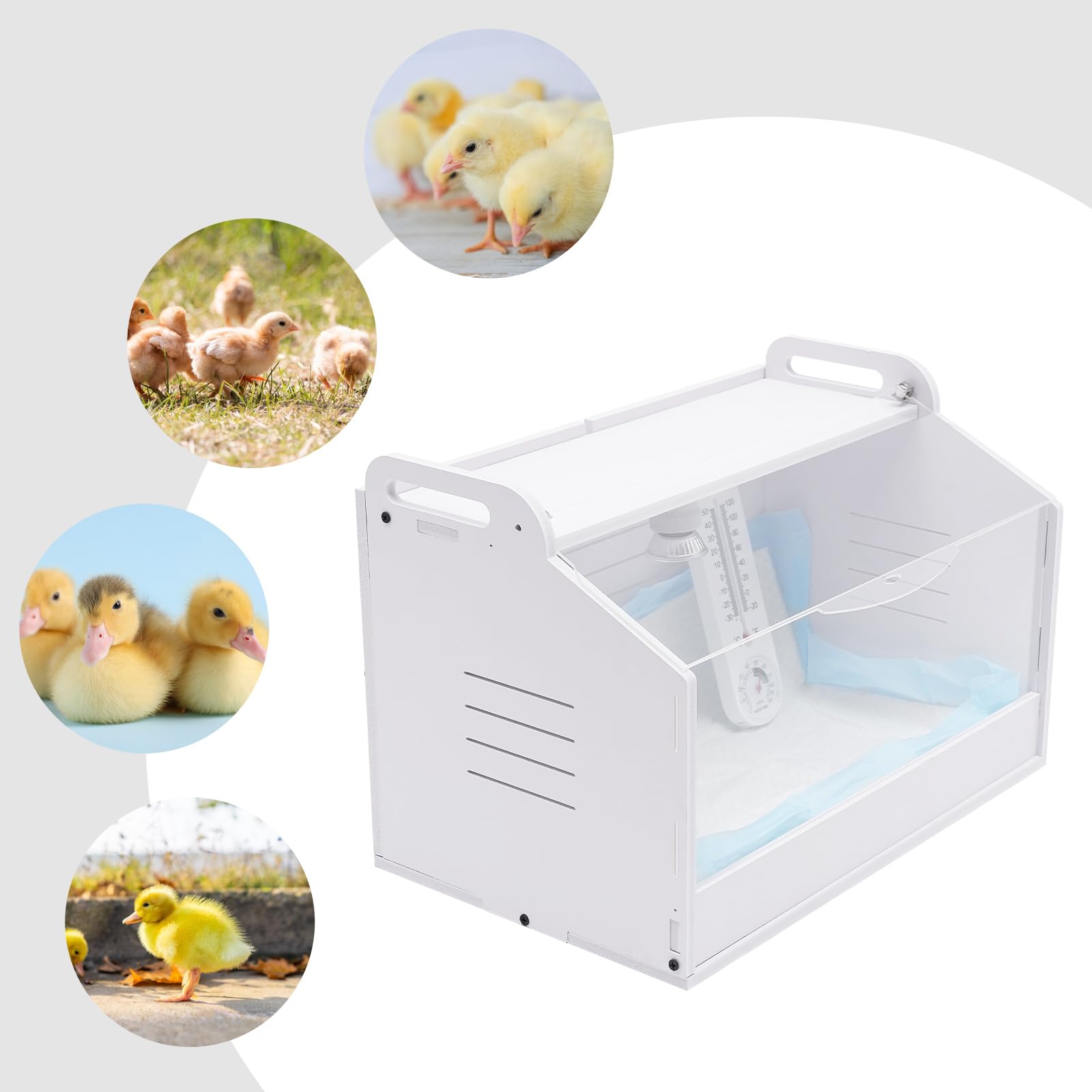 Scatola di allevamento per pulcini, scatola riscaldante per pulcini con lampada termica e termometro, incubatrice per pulcini, scatola per cova, incubatrice automatica per pollame, rettili
