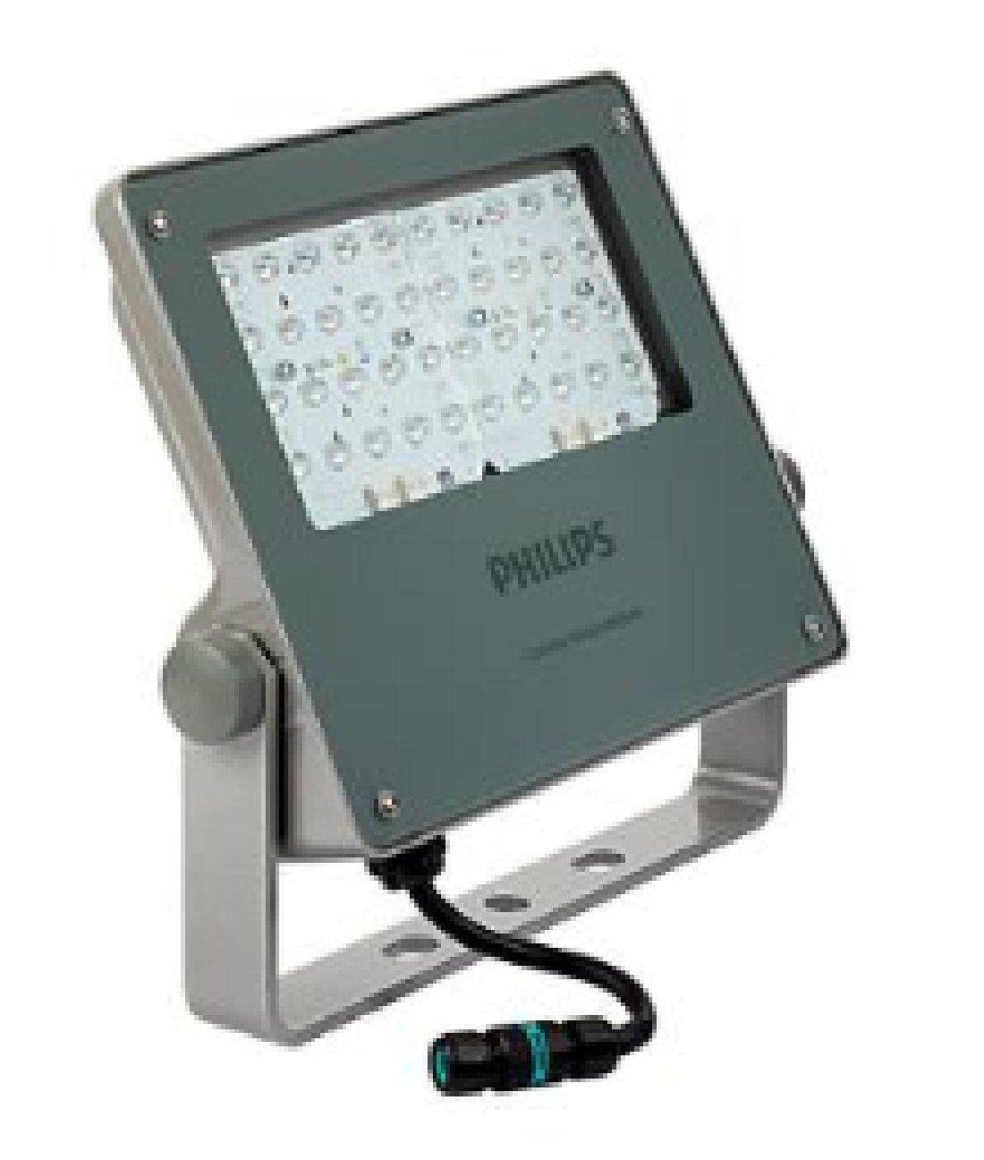 Philips Light/Gray Coreline Down/Spot/Flood - 45589700