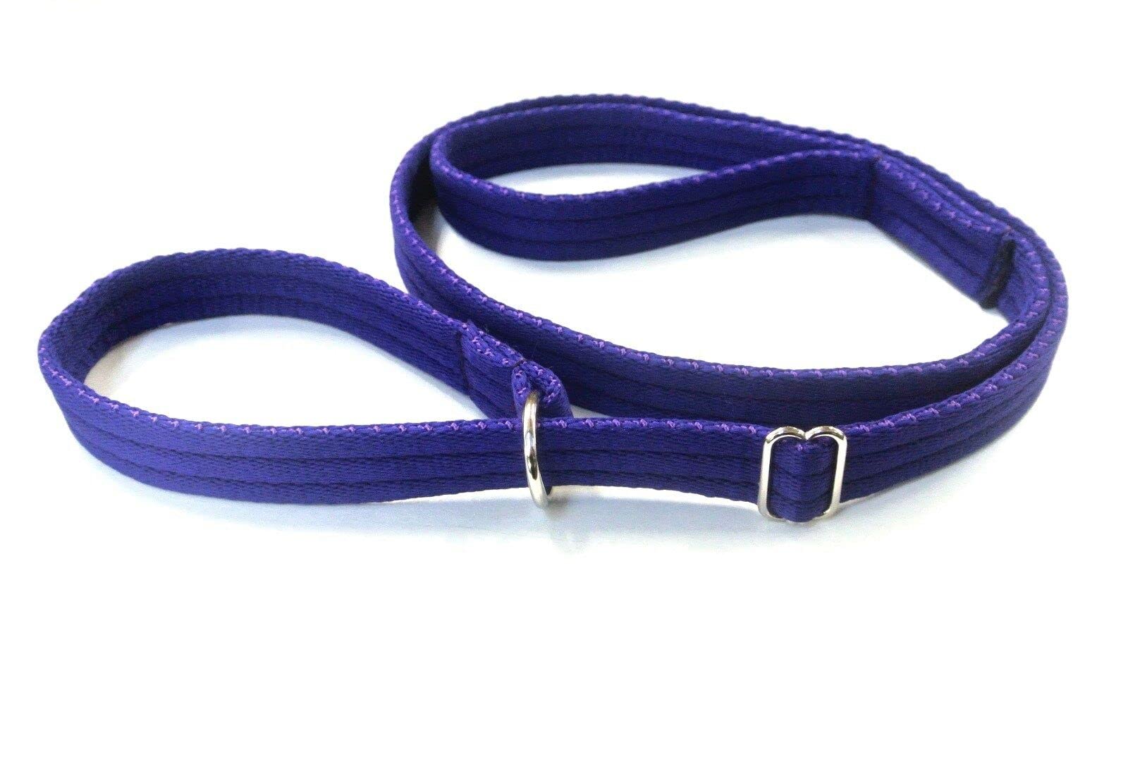 Dog Slip Lead Training Walking Leash 60" Long Obedience Slip On Dog Lead Soft Comfortable Air Webbing In (Purple, 25mm)