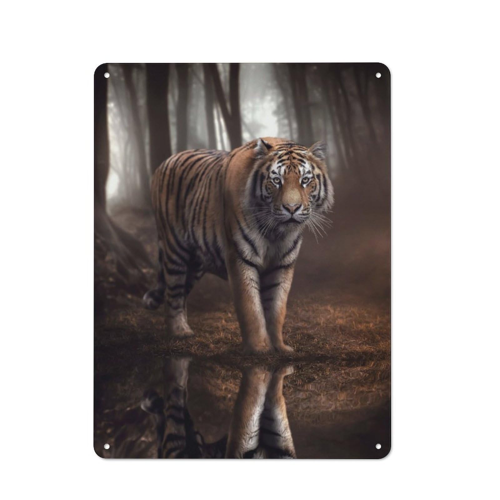 Junmoney Tiger Stare Rustic Metal Sign 40X30cm For Lounge Or Reading Corner, For Reading Corner Decorators