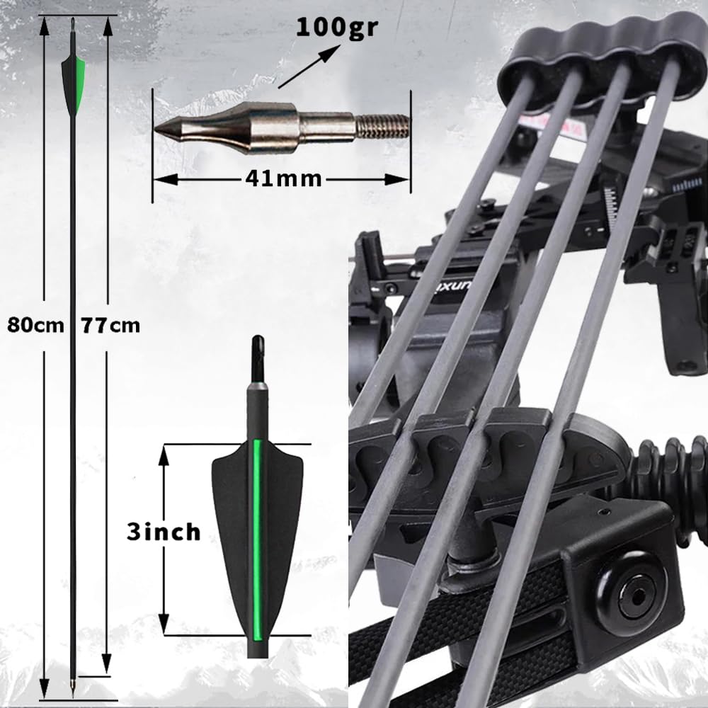Set Arco Compound 20-70lbs regolabile 320fps Arco da tiro Arco da caccia Arco compound per principianti professionale adulti arco compound Arco da tiro con frecce