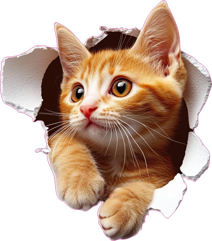 x4 Ginger Kitten Vinyl Stickers Cover Marks Non Transparent Waterproof Decals 1@20cm Tall & 3@7cm Tall Ideal for Toilet Car Phone case