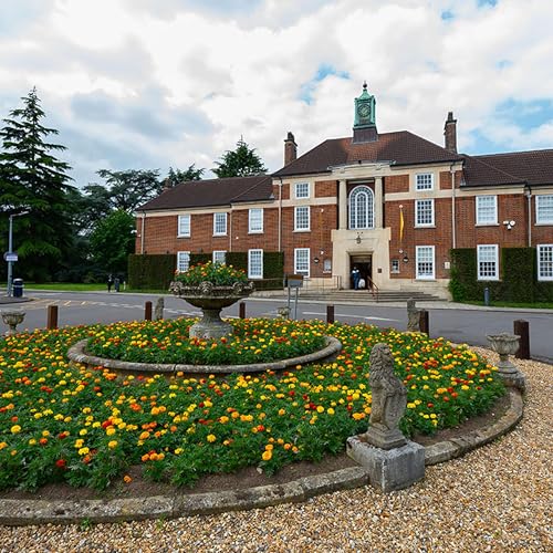 『Tall Stories 475: Bethlem Royal Hospital and Bethlem Museum of the Mind, London』のカバーアート