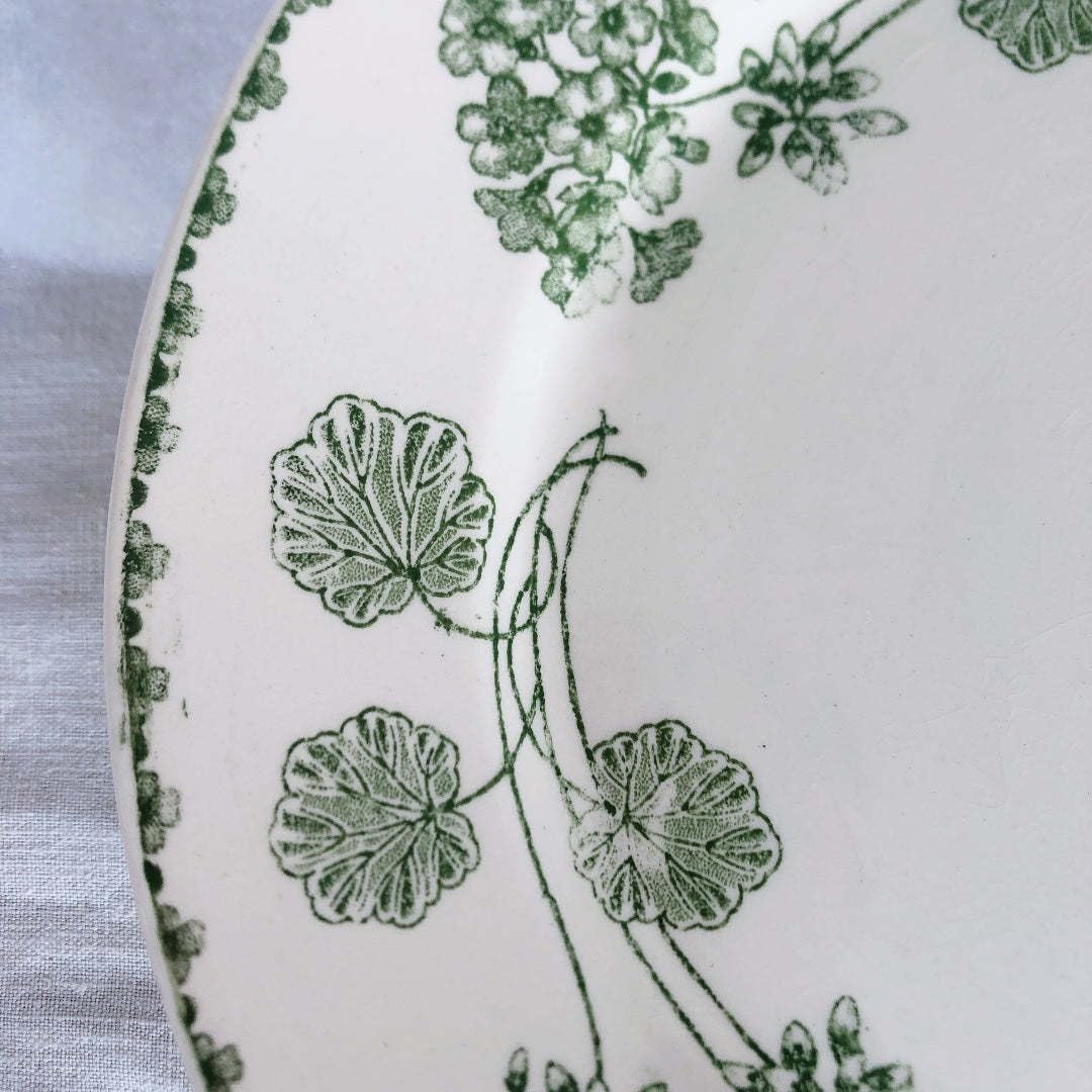 Amazon.co.jp: UCサルグミンヌ ゼラニウム コンポティエ／ケーキ