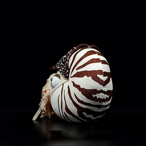 Miniatura 2 de Nautilus - Animal de peluche realista de Nautilus, juguete realista de Nautilus de 8 pulgadas, peluche suave de criaturas marinas modelo Nautilus,