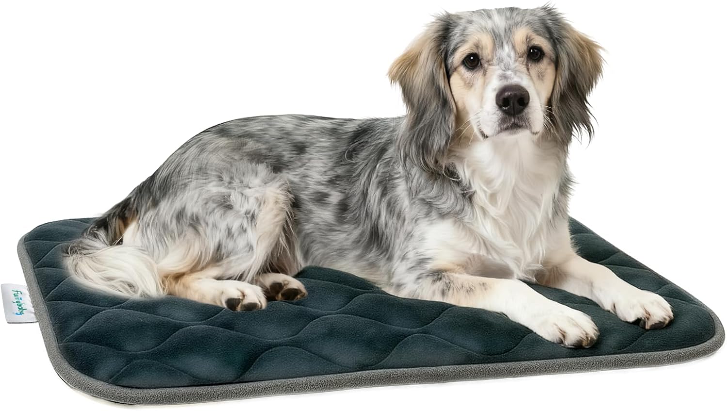 furrybaby Dog Bed Mat Flat Crate Mat with Anti-Slip Bottom Machine Washable Pet Kennel Pad for Dog Sleeping (M 30x19'', Grey Mat) 30.0"L x 19.0"W x 0.7"Th Grey Mat