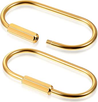 Gkeygo 1 Inch Keychain Rings – 8 Pack Round Carabiner Clips, Gold & Silver, Zinc Alloy - View #6