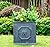 Kante Square Lion Head Concrete Planter, Classic English Style Plant Pot with Drainage Hole and Rubber Plug for Indoor Outdoor Garden Patio Home, 12.6"x12.6"x12.6" Antique Gray