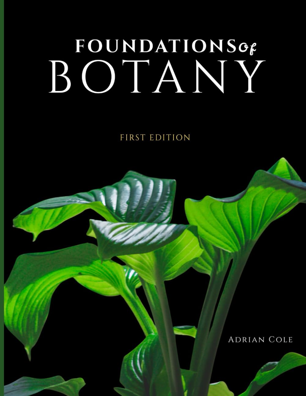 FOUNDATIONS OF BOTANY: A High School & College-Level Introduction to Plant Biology