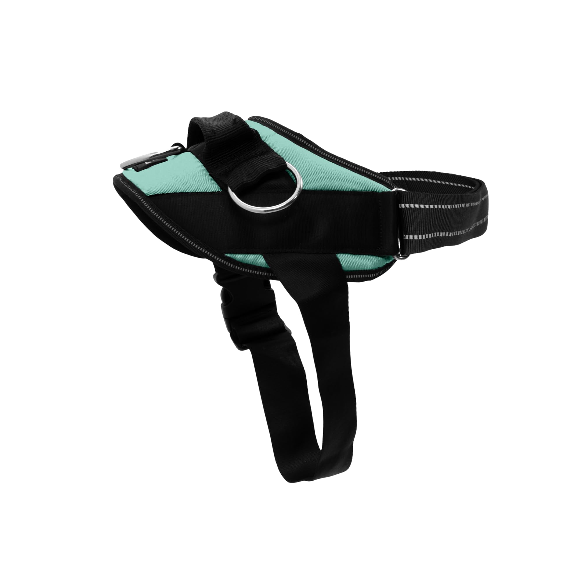 ShawnCo Essential Dog Harness, No-Pull Pet Vest with 3 Leash Clips, No Choke, Reflective, Adjustable and Padded, for Easy Walking and Training for Small, Medium and Large Dogs (Seafoam, M)