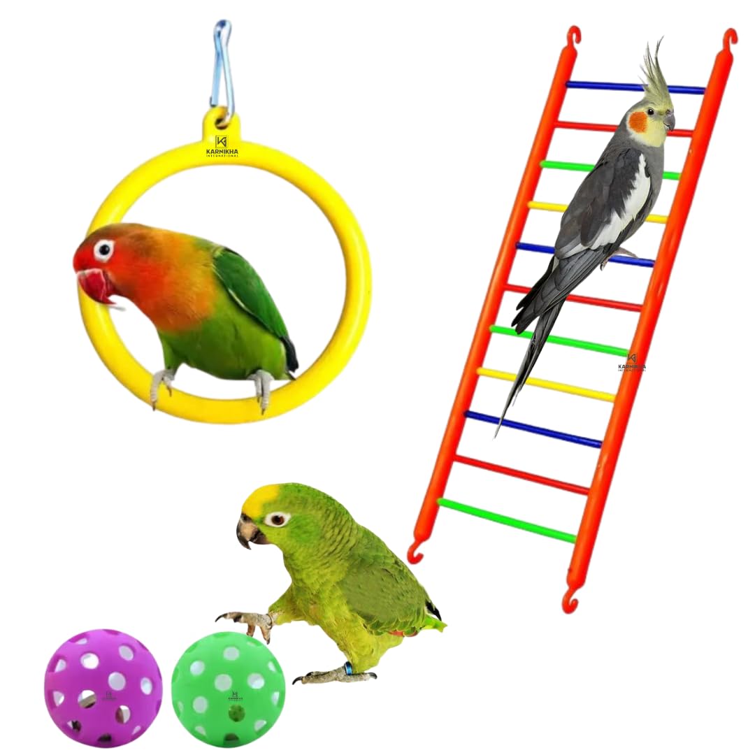 Karnikha’s | Playful Bird Ladders | Hanging Swings | Bird Ball Toy | Cage Accessories | Love Birds, Budgies, Finches,Sparrow, Cockatiels | Combo Pack of 4 (2 Ball, 1 Circle Swing, 1 Ladder)-image-17