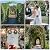 Garden Arch Arbor, 7FT Wedding Arch Stand, Steel Frame Arch for Wedding Ceremony, Garden Arch Trellis for Climbing Plants Outdoor, Decorations Pergola for Garden, Black