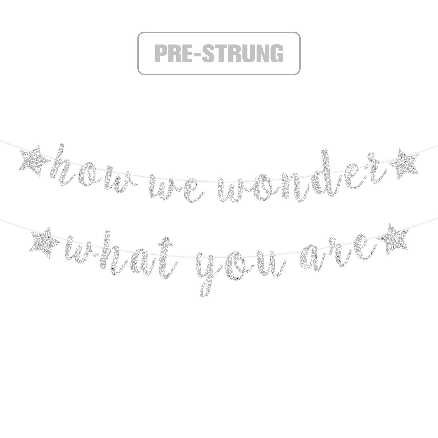 How We Wonder What You Are Pre Strung Silver Glittery | Desertcart KSA