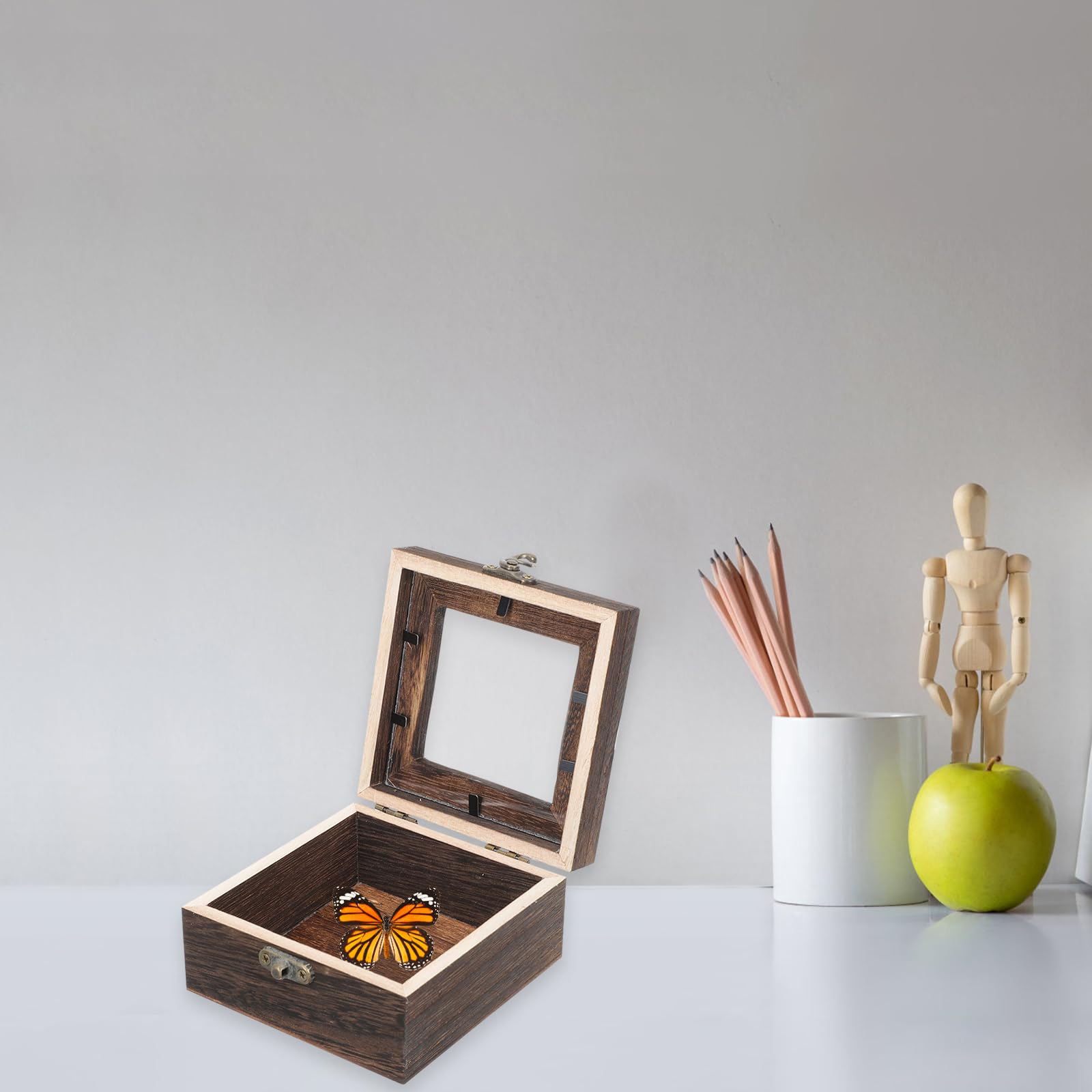 Cabilock Insekten Aufbewahrung mit Design Vitrine und Acryl Retro Multifunktionale Kleine Holzkiste mit Deckel für Schmuck und Münzen