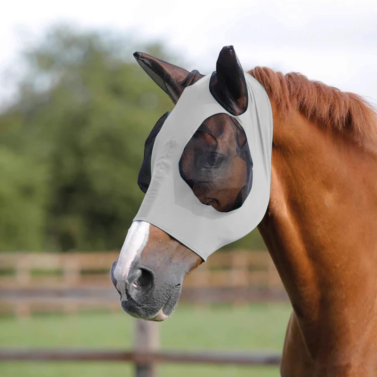 1PC Fly Mask for Horses with Ears Breathable Horse Fly Mask for Summer Protection Full Coverage Mesh Horse Head Cover