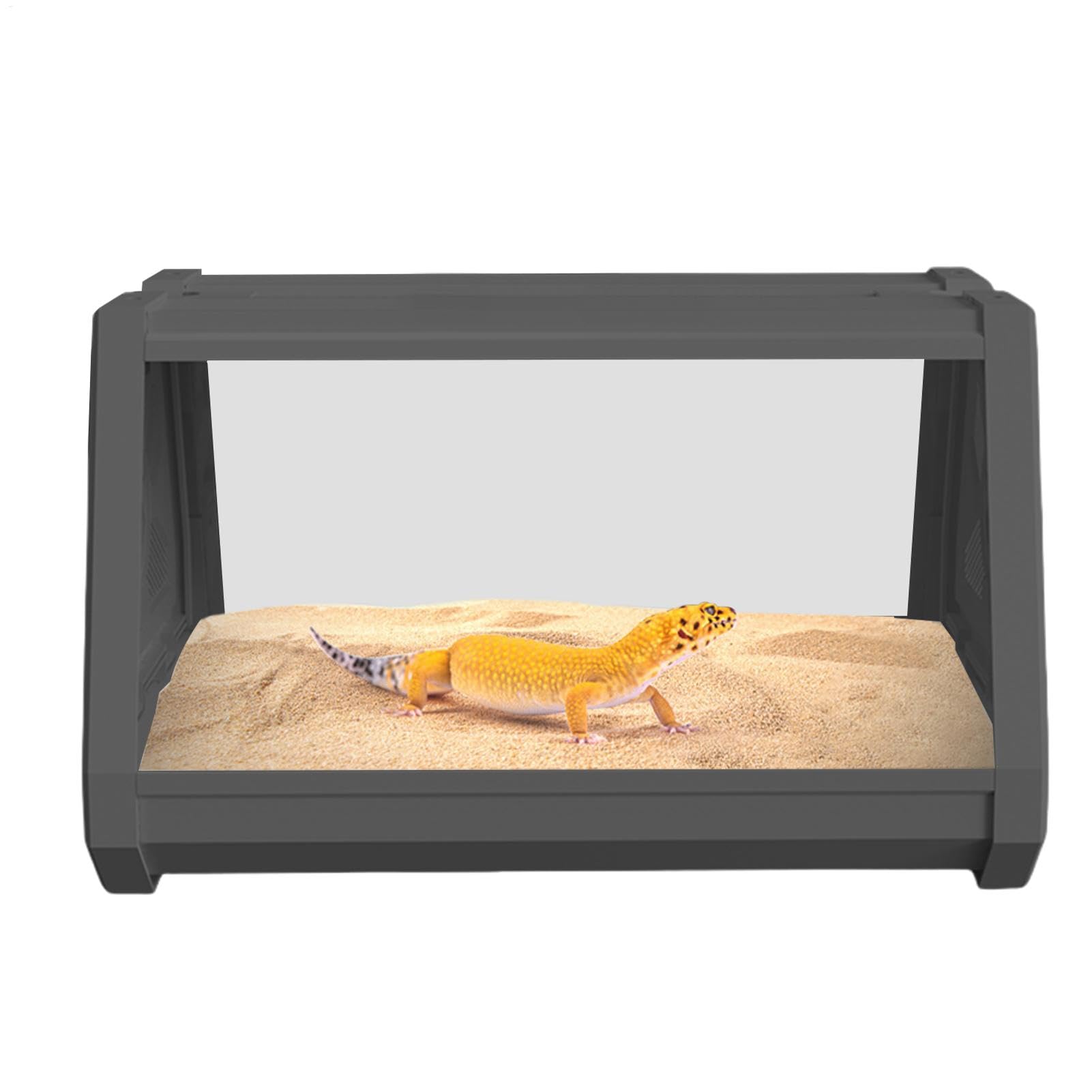Terrarium Habitat du Reptile : Admirez votre dragon barbu s'épanouir dans votre salon