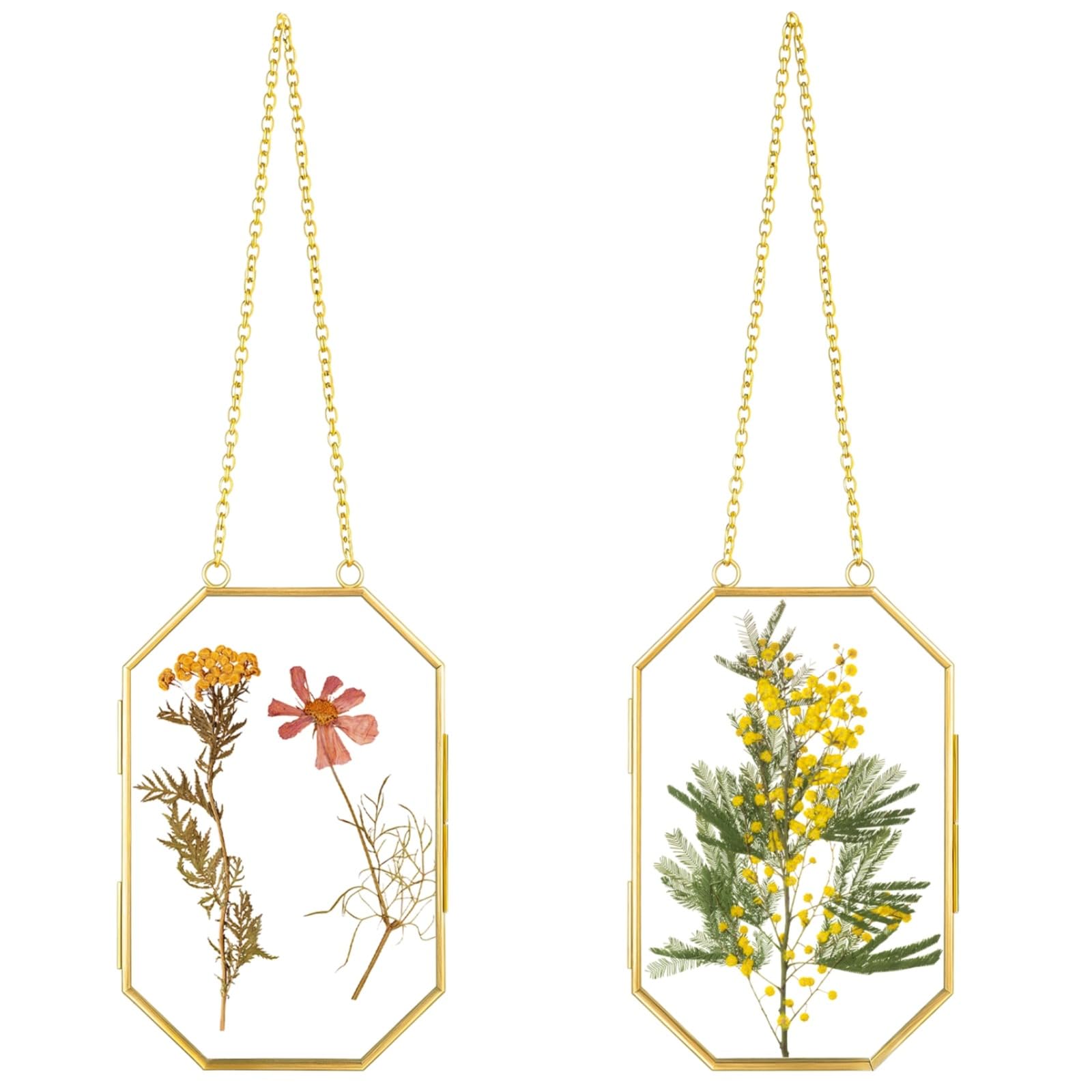 Set di 2 cornici in vetro pressato a forma ottagonale, in metallo dorato, da appendere, con catena, porta foto a forma di erbario, per fiori secchi, opere d'arte, collezione botanica