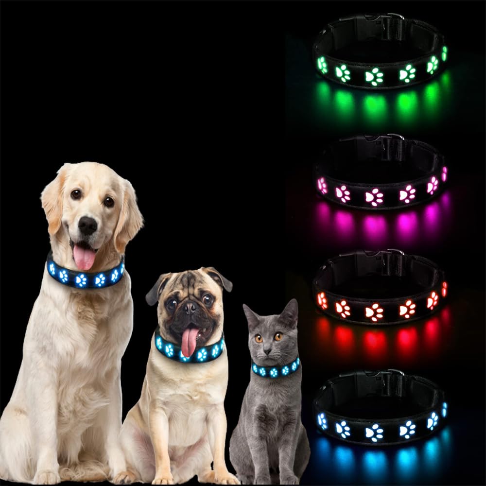 Light Up Dog Collars, Azonee USB Rechargeable LED Dog Collarr, Rechargeable Waterproof Dog Collar, Adjustable Comfortable Soft Light Up Collar for Small Medium Large Dogs (Blue-M)