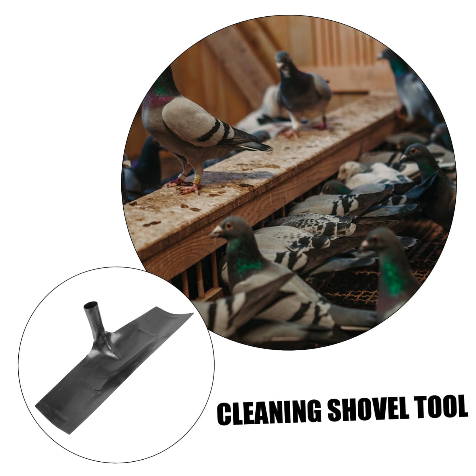 YARNOW rastrello per letame pennello pennellessa Utensile cleaning stallatico attrezzo pala per pulire lo sterco pala per la pulizia delle pareti pala agricola Acciaio inossidabile Black