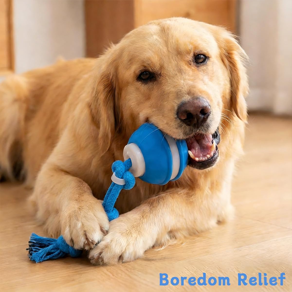 Zealburst Interactive Dog Toy Ball, 2026 Upgraded Motion Activated Rolling Ball with Squeaky Sounds, 360° Smart Automatic Moving Toy for Bored Cats & Dogs, Indoor & Outdoor Pet Exercise Toy (Blue) - Image 6